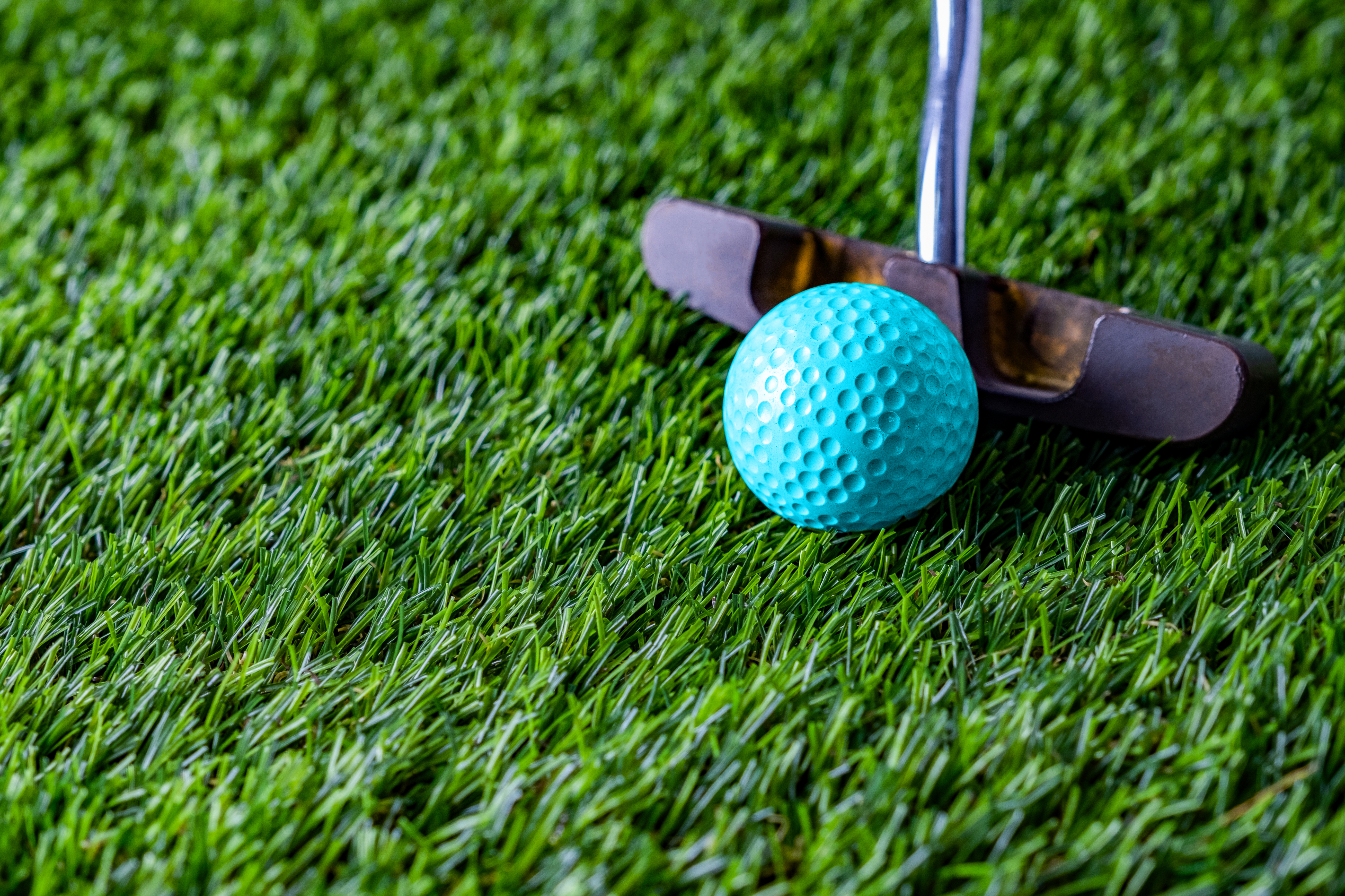 Mini Golf Putter and Ball