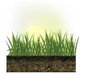 Hot Sun and Grass Graphic