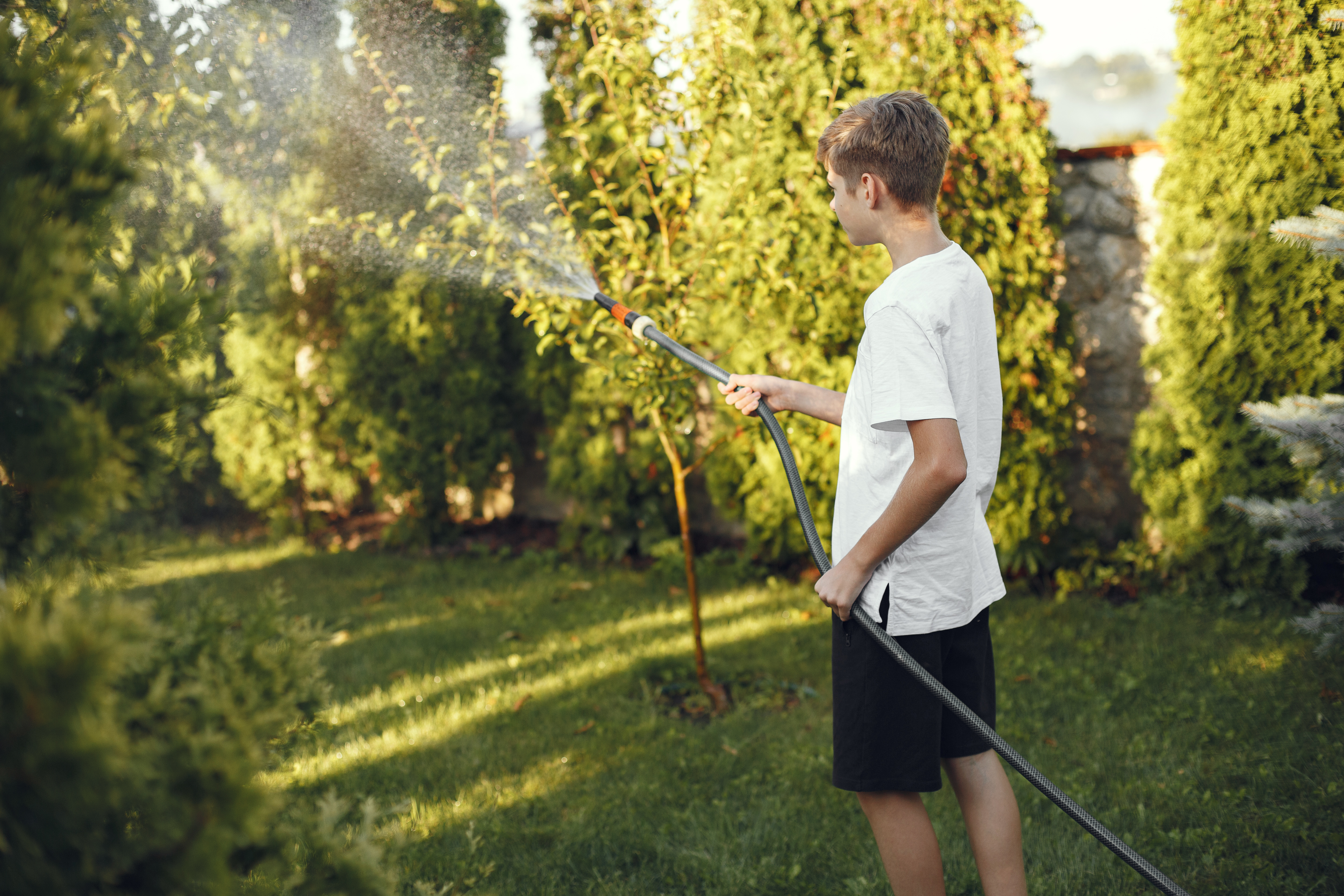 A young boy watering trees with a hose