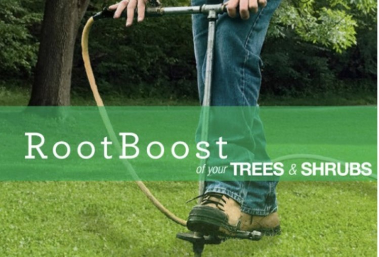 RootBoost by Green Drop Tree Care Graphic